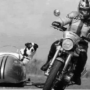 Meet your Posher, Louis-philippe